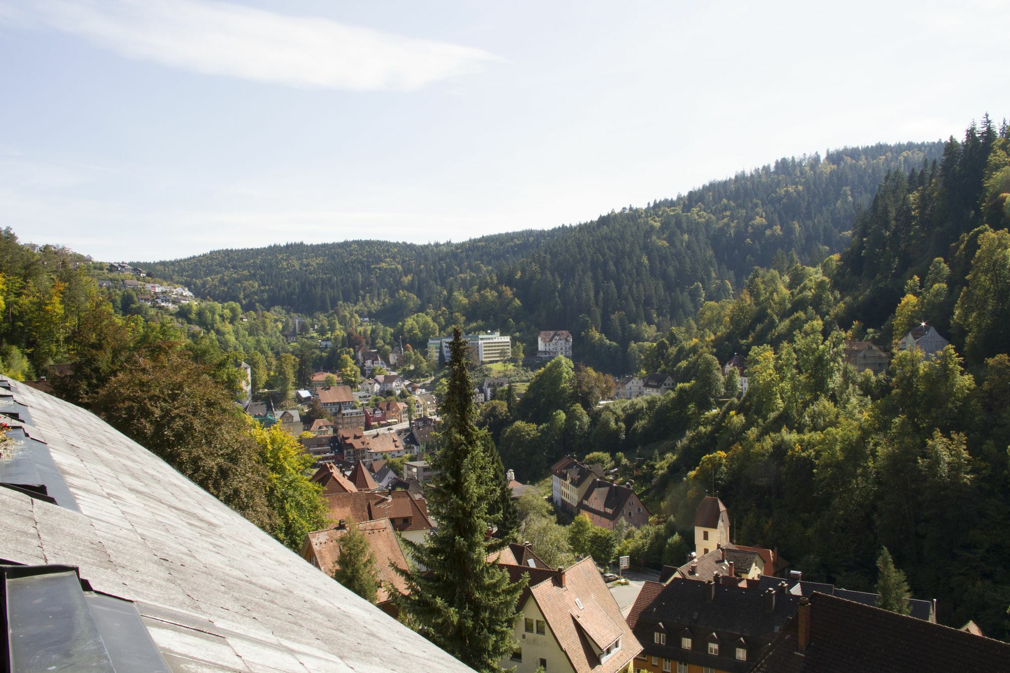 Best Western Plus Schwarzwald Residenz Triberg im Schwarzwald Екстер'єр фото